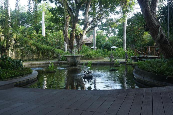 Imagen de los exteriores del Hotel Regali Villa. Foto 13