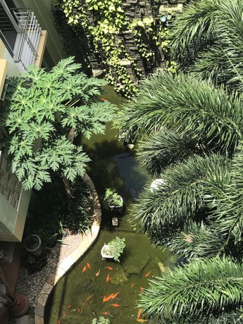 Imagen de los exteriores del Hotel Regency De Vigan. Foto 19