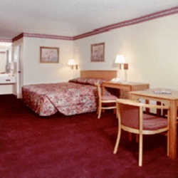 Imagen general del Hotel Regency Express. Foto 4
