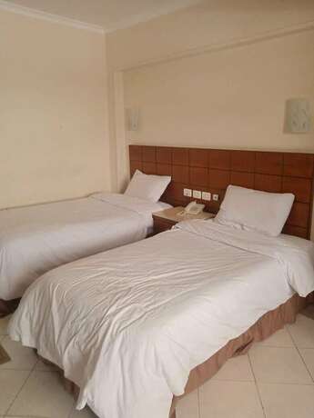 Imagen de la habitación del Hotel Regency, Giza. Foto 13