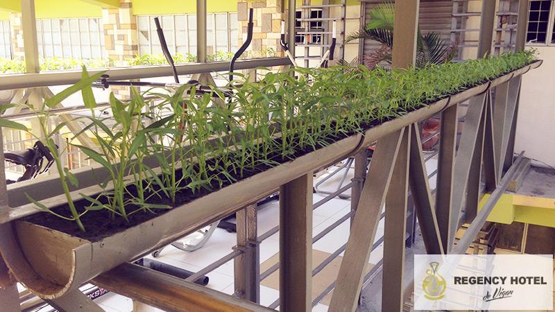Imagen general del Hotel Regency Hotel de Vigan. Foto 3