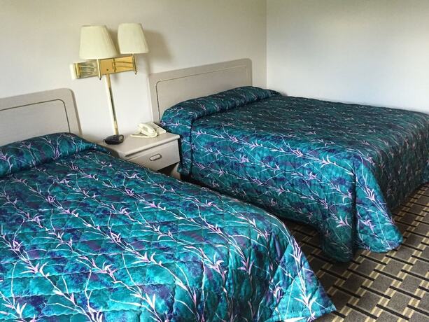 Imagen de la habitación del Hotel Regency Inn. Foto 17