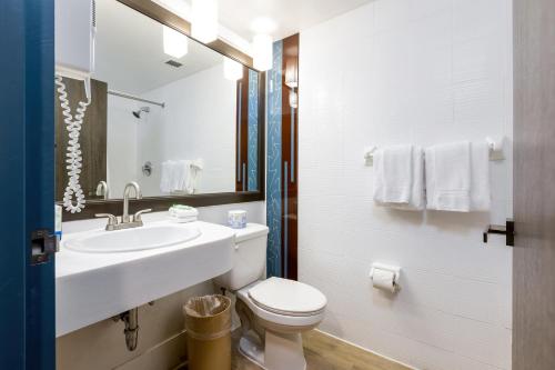 Imagen de la habitación del Hotel Regency Miami Airport By Sonesta. Foto 11