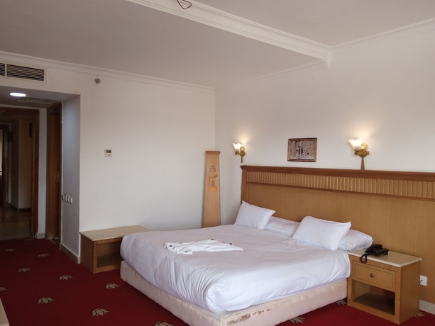 Imagen de la habitación del Hotel Regency Pyramids. Foto 8