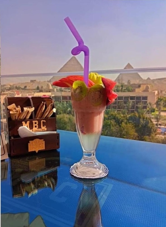 Imagen de los interiores del Hotel Regency Pyramids. Foto 17