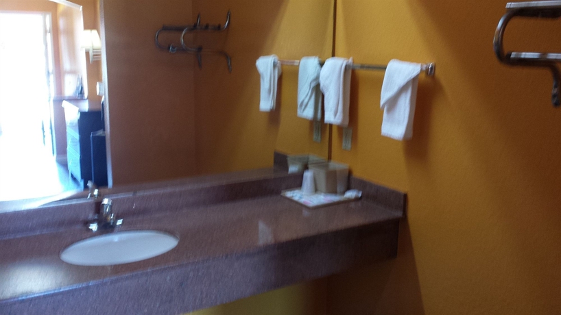 Imagen de la habitación del Hotel Regency Suites Intercontinental Airport. Foto 5
