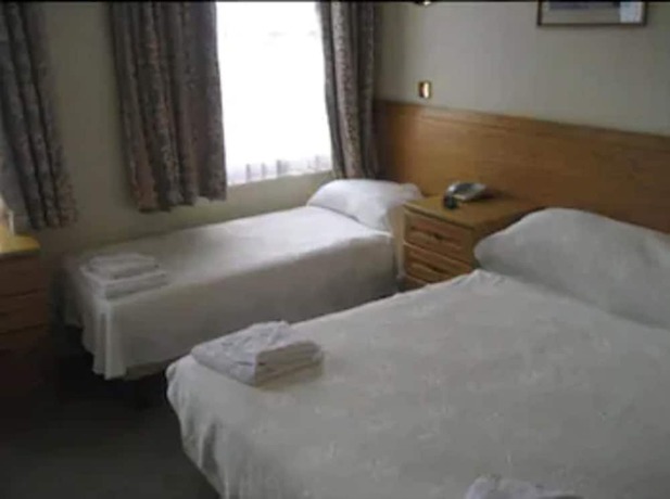 Imagen de la habitación del Hotel Regency Westend. Foto 11