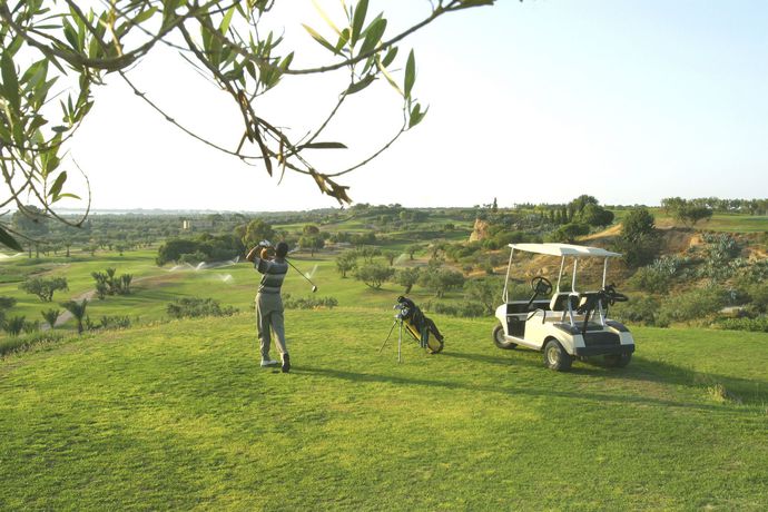 Imagen de los exteriores del Hotel Regency and Spa. Foto 11