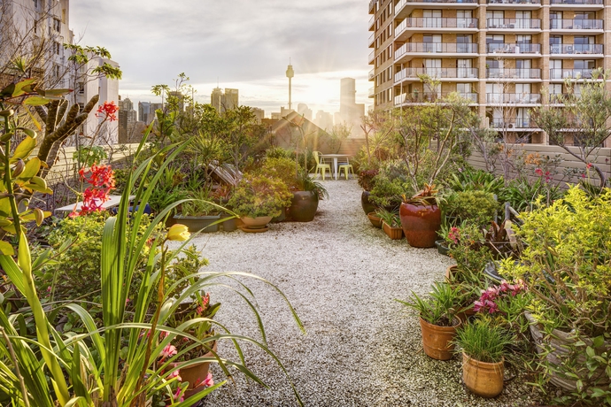 Imagen de los exteriores del Hotel Regents Court Sydney. Foto 11