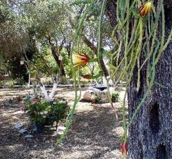 Imagen general del Hotel Reggis Apartments. Foto 3