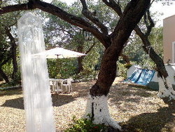 Imagen general del Hotel Reggis Apartments. Foto 6