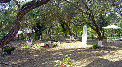 Imagen general del Hotel Reggis Apartments. Foto 7