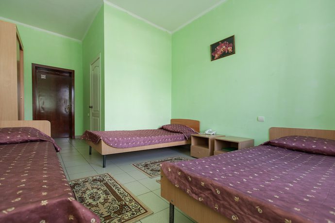 Imagen de la habitación del Hotel Regina Bolgar. Foto 11