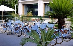 Imagen general del Hotel Regina Elena Dependance. Foto 6