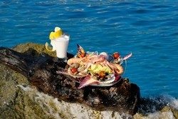 Imagen general del Hotel Regina Elena Dependance. Foto 16