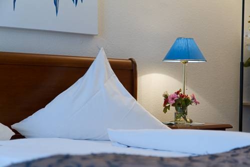 Imagen general del Hotel Regina, Heidelberg. Foto 3