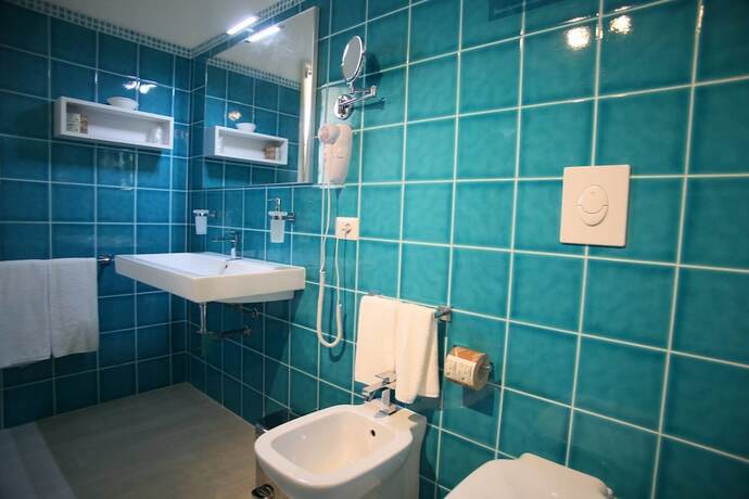 Imagen de la habitación del Hotel Regina Simius. Foto 24