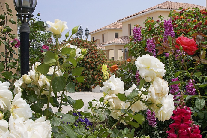 Imagen de los exteriores del Hotel Reginas Exclusive Villas. Foto 4