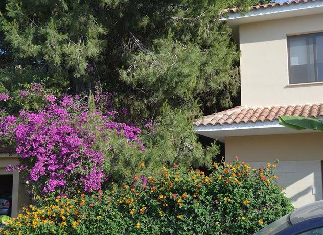 Imagen de los exteriores del Hotel Reginas Exclusive Villas. Foto 6