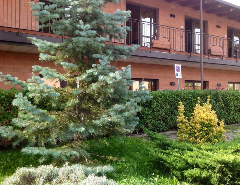 Imagen general del Hotel Regio, Rubiera. Foto 24
