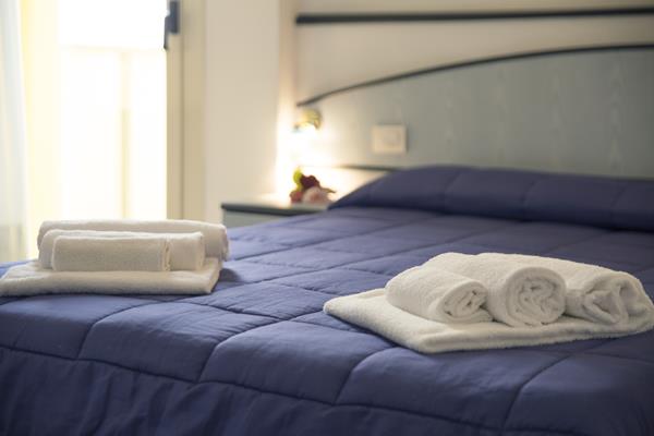 Imagen general del Hotel Rèmin Plaza. Foto 3