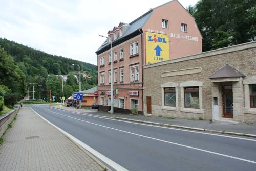 Imagen de la habitación del Hotel Regrus. Foto 6