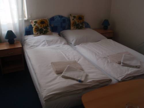 Imagen de la habitación del Hotel Regrus. Foto 9