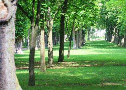 Imagen general del Hotel Reichel S Parkhotel. Foto 4