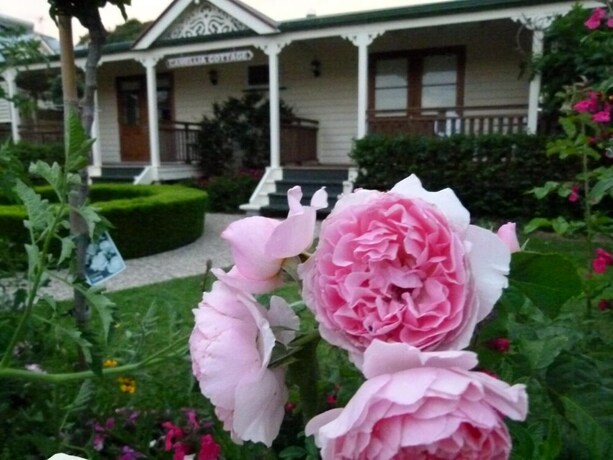 Imagen de los exteriores del Hotel Reid's Place. Foto 39