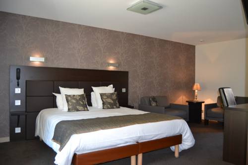 Imagen de la habitación del Hotel Reine Mathilde. Foto 11
