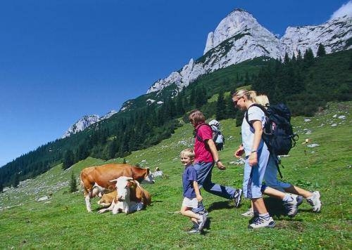 Imagen general del Hotel Reiners Wirtshaus. Foto 8