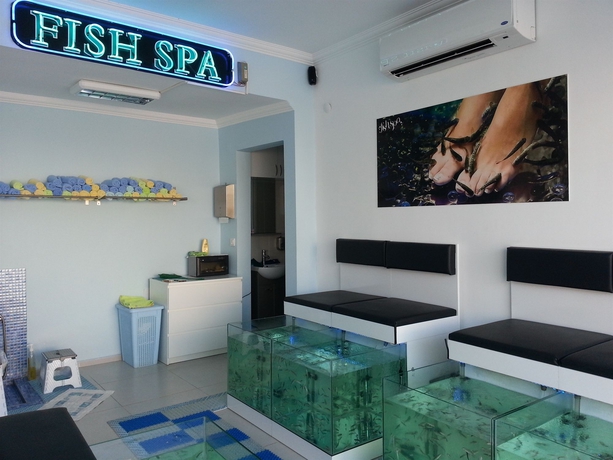 Imagen de la piscina del Hotel Reis Maris. Foto 14