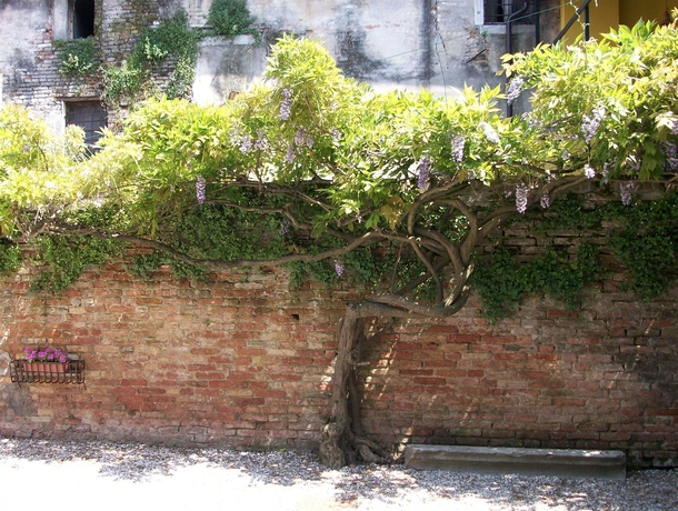 Imagen de los exteriores del Hotel Relais Alcova Del Doge. Foto 4