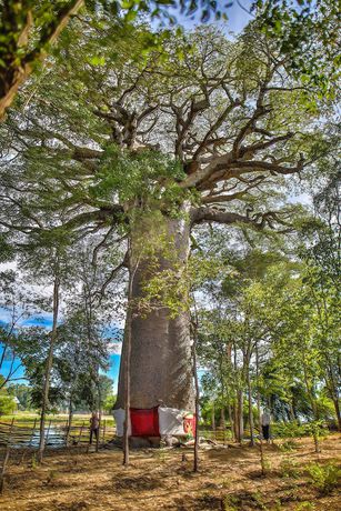 Imagen general del Hotel Relais Du Kirindy. Foto 4