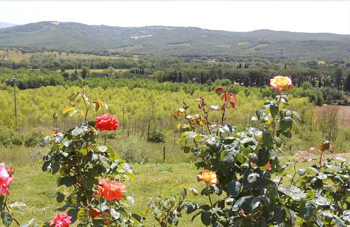 Imagen de los exteriores del Hotel Relais Santa Genoveffa. Foto 14
