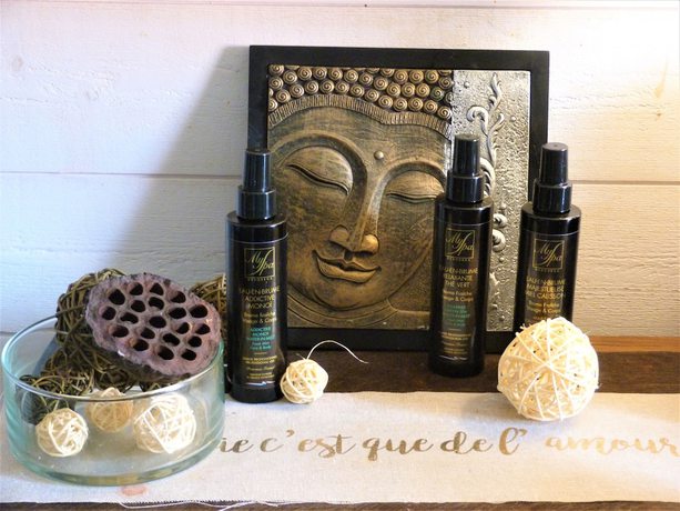 Imagen de la piscina del Hotel Relax Beuzeville Honfleur. Foto 18