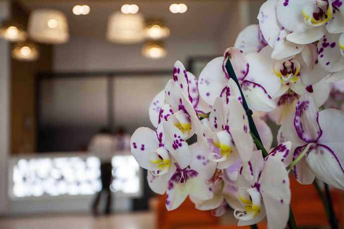 Imagen general del Hotel Relax Casa Voyageurs. Foto 2