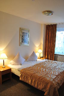 Imagen de la habitación del Hotel Relax Inn Health and Spa. Foto 5