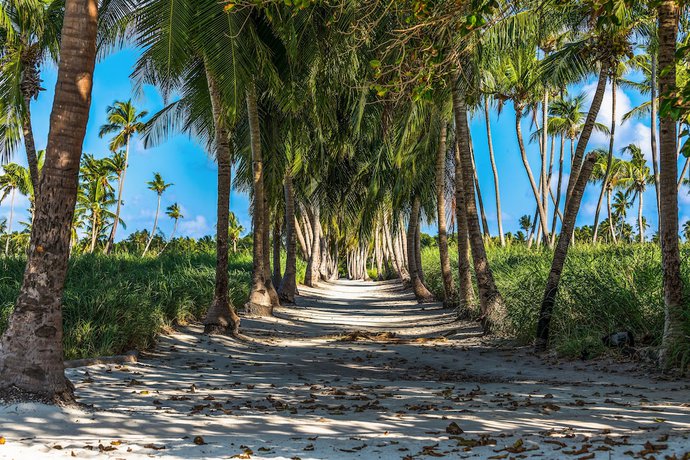 Imagen de los exteriores del Hotel Relax Residence Thoddoo Maldives. Foto 17