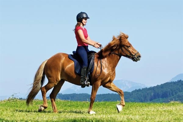 Imagen general del Hotel Relax Resort Kreischberg. Foto 6