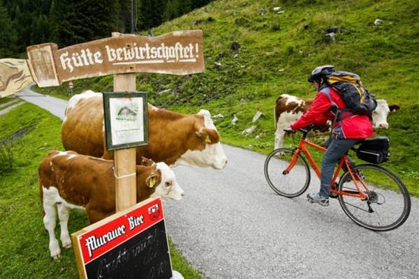 Imagen general del Hotel Relax Resort Kreischberg. Foto 8