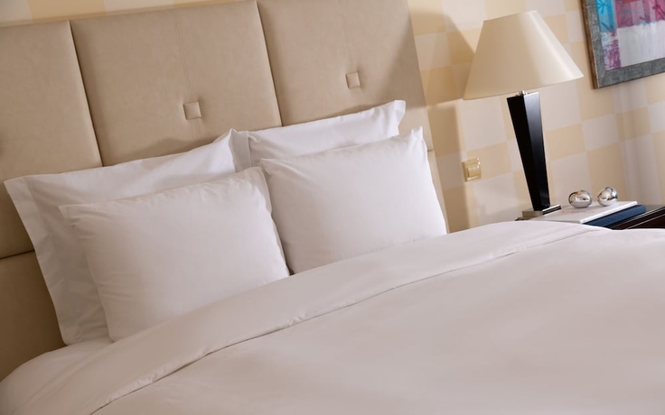 Imagen de la habitación del Hotel Renaissance Aktau. Foto 11