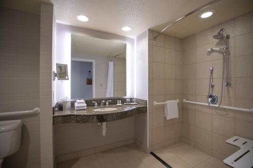 Imagen de la habitación del Hotel Renaissance Dallas Richardson. Foto 13