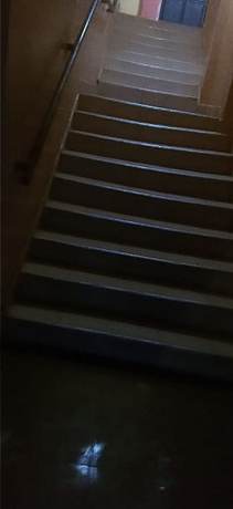 Imagen de los interiores del Hotel Rene Bistro. Foto 19