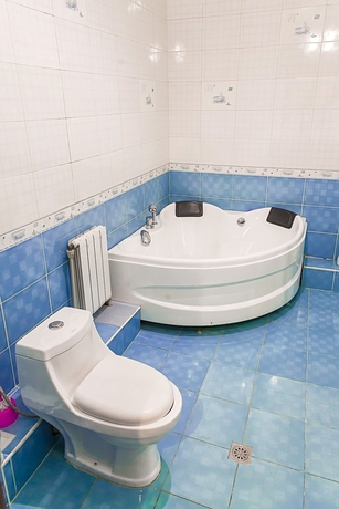 Imagen de la habitación del Hotel Renion Almaty. Foto 14