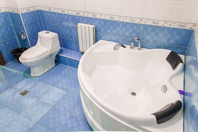 Imagen de la habitación del Hotel Renion Almaty. Foto 16