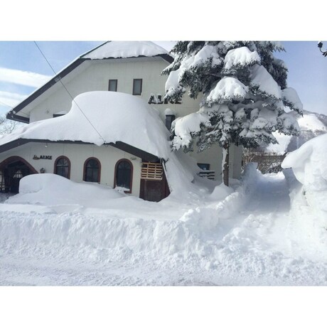 Imagen general del Hotel Rental Lodge White Rabbit Madarao Kogen Cottage Alice. Foto 5