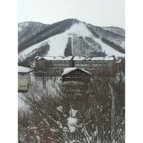 Imagen general del Hotel Rental Lodge White Rabbit Madarao Kogen Cottage Alice. Foto 8