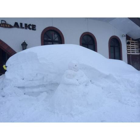 Imagen general del Hotel Rental Lodge White Rabbit Madarao Kogen Cottage Alice. Foto 14