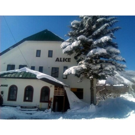 Imagen general del Hotel Rental Lodge White Rabbit Madarao Kogen Cottage Alice. Foto 1
